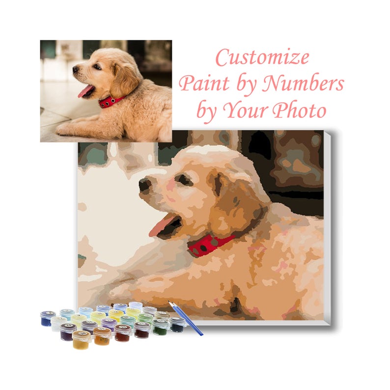 Extra Paints (Acrylic Paints) - Paint by Numbers Kit Oil Painting