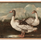 Country Geese, Wood Framed Vintage Bird Canvas Wall Art