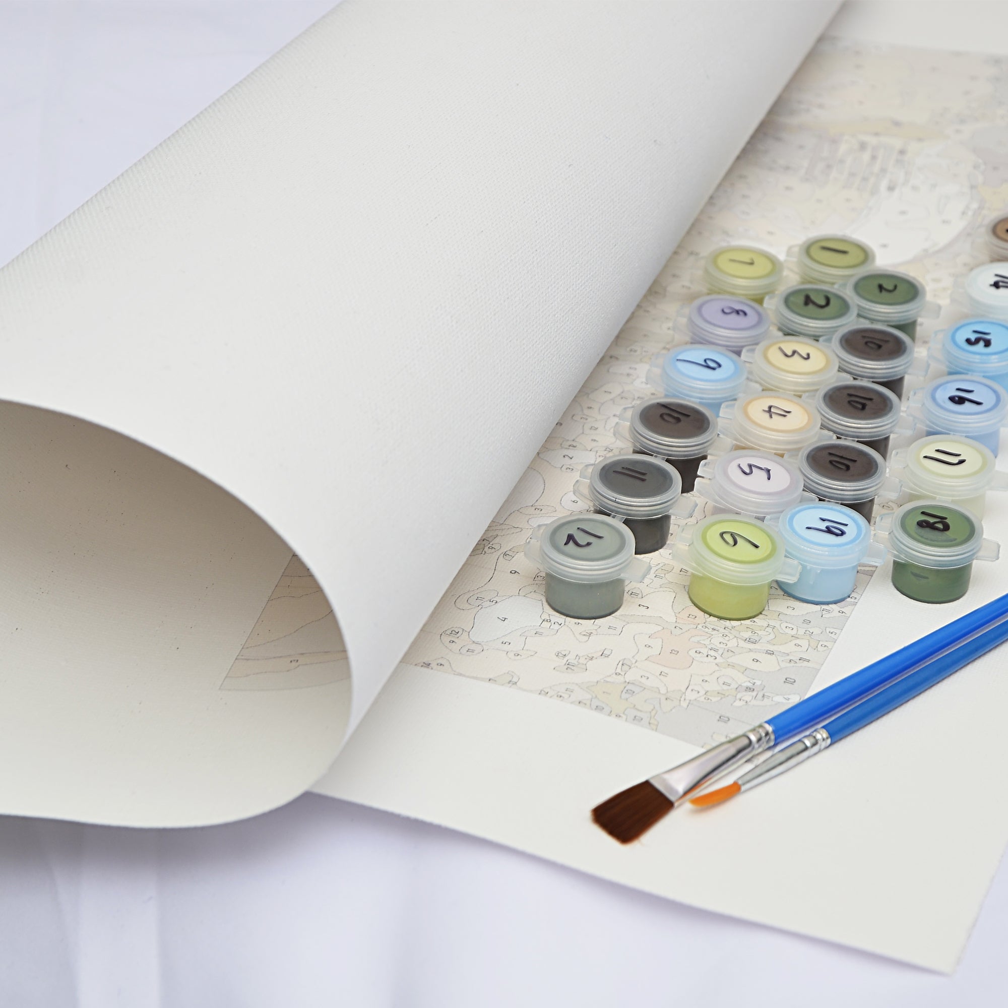 Colorful Lion- Paint by Numbers Kit - Texture Of Dreams