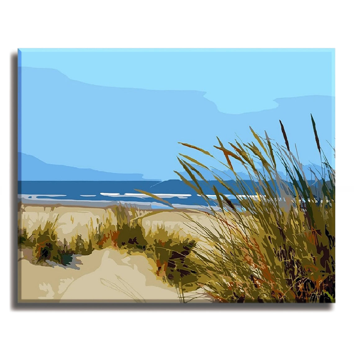 Beach Grass - Paint by Number Kit DIY Oil Painting on Wood Stretched Canvas 16"x20" - Texture Of Dreams 