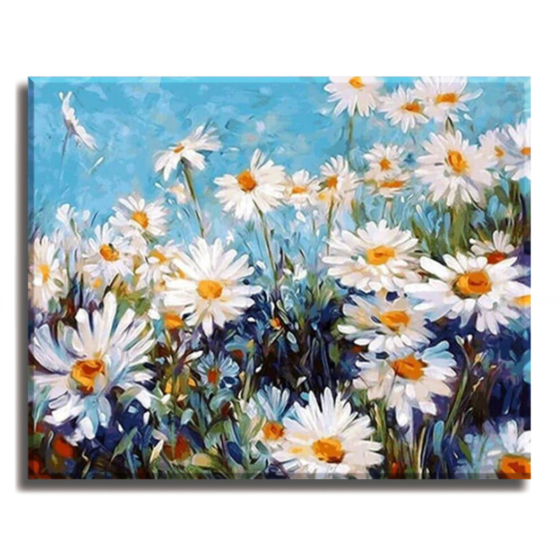 White Daisies - Paint by Numbers Kit for Adults DIY Oil Painting Kit on Canvas - Texture Of Dreams 