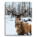The Elk - Paint by Numbers Kit for Adults DIY Oil Painting Kit on Canvas - Texture Of Dreams 