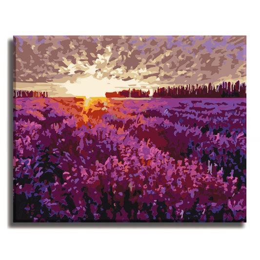 Lavender Garden - Paint by Numbers Kit for Adults DIY Oil Painting Kit on Canvas
