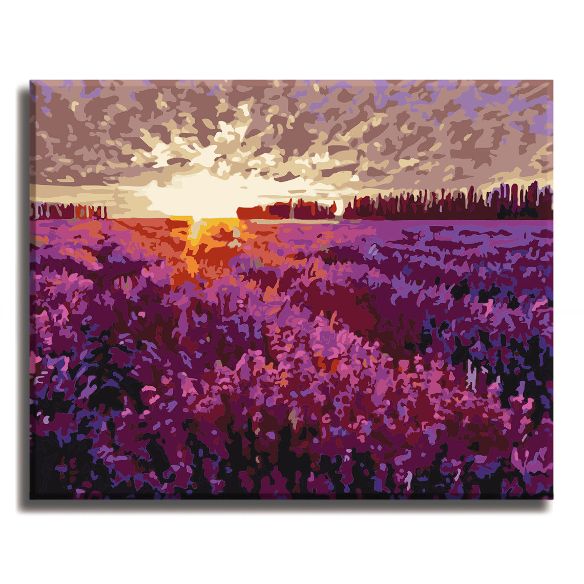 Lavender Garden - Paint by Numbers Kit for Adults DIY Oil Painting Kit on Canvas - Texture Of Dreams 
