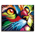 Colorful kitten - Paint by Numbers Kit for Adults DIY Oil Painting Kit on Canvas - Texture Of Dreams 